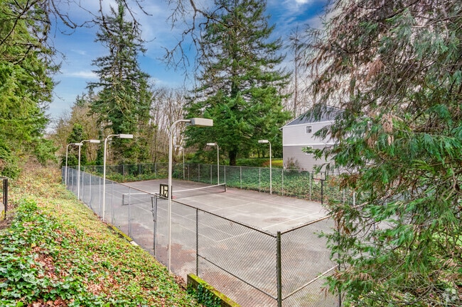 Sports Court - Veri on Cascade