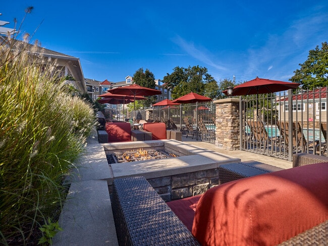 Photo - Vermella Lyndhurst