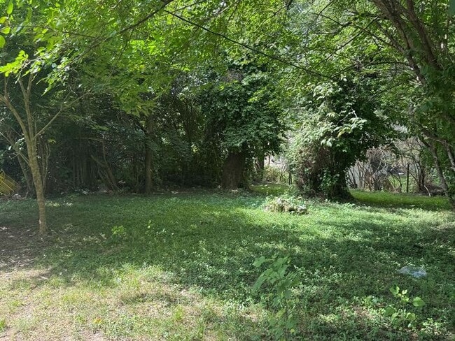 Photo - Newly Renovated Three Bed/One Bath