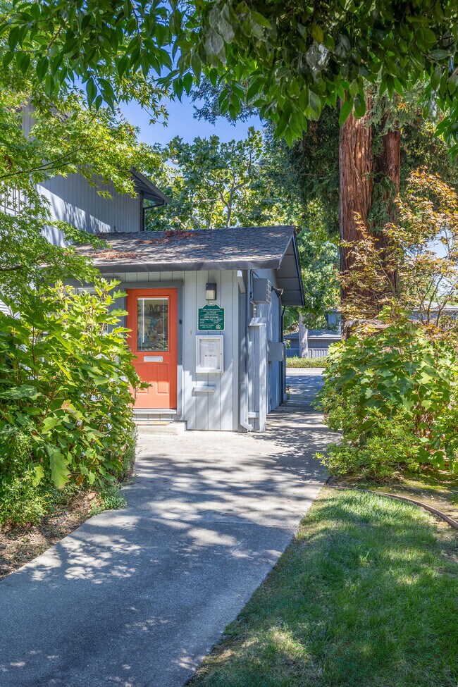The Cedars Studio