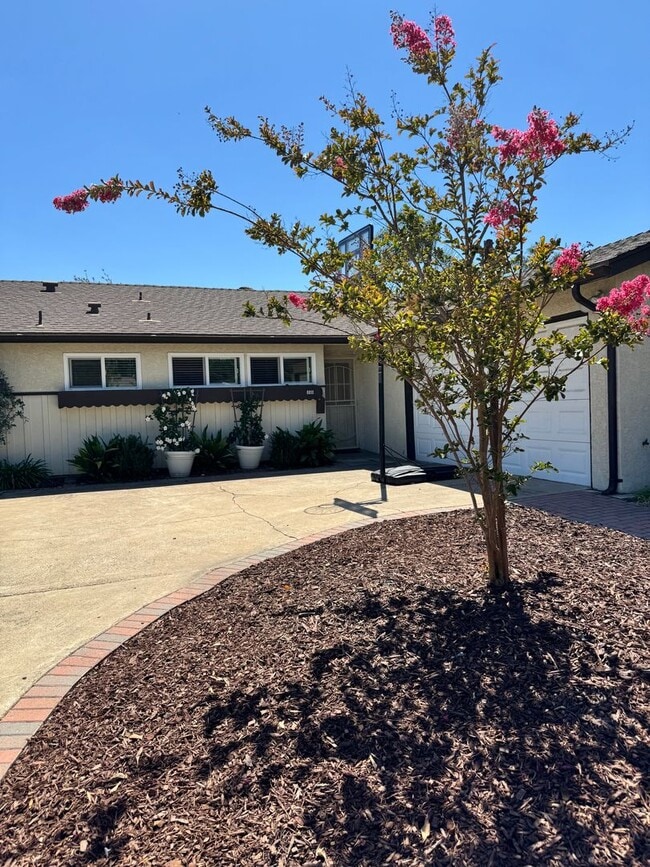 Building Photo - Beautifully Updated 4 Bedroom, 3 Bath Sing... Rental