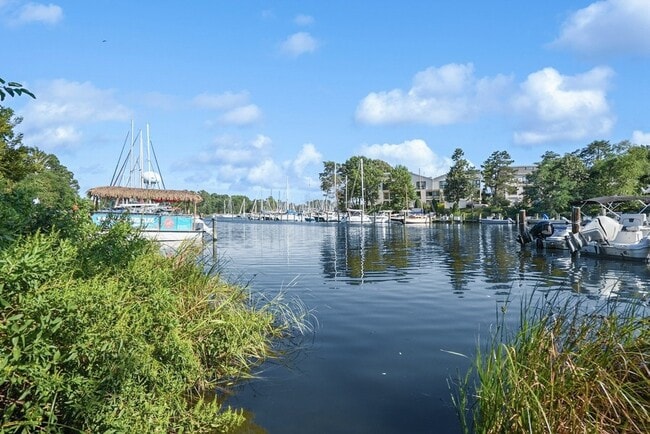 Nautilus Point