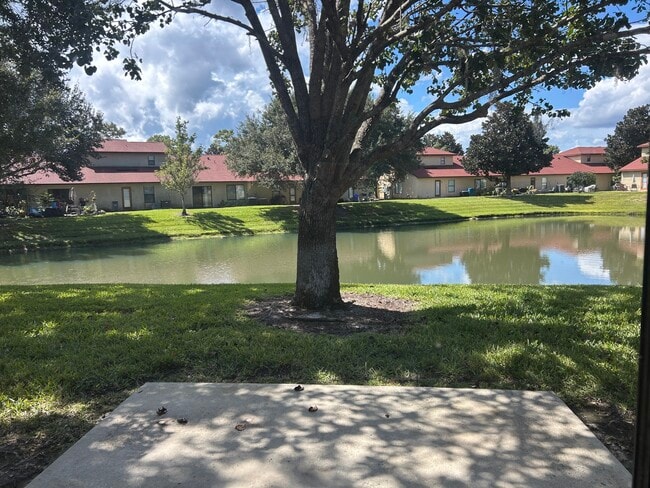 Back Door View - 743 Ginger Mill Dr