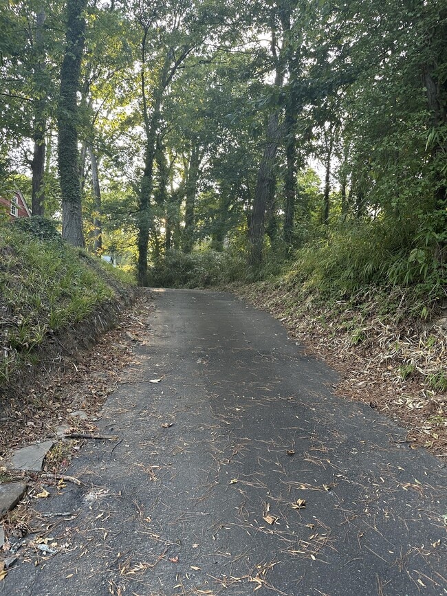 Photo - 1517 N Roxboro St