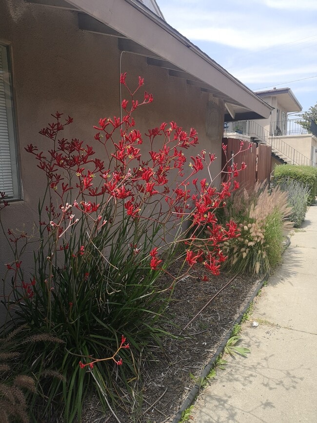 Photo - 4632 Canoga St