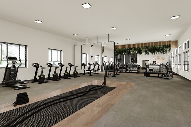 11-Gym
