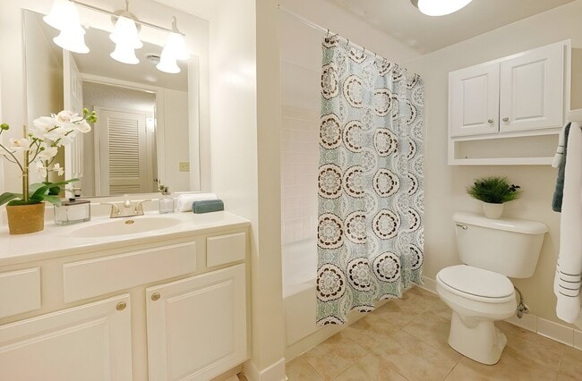 Photo - French Court