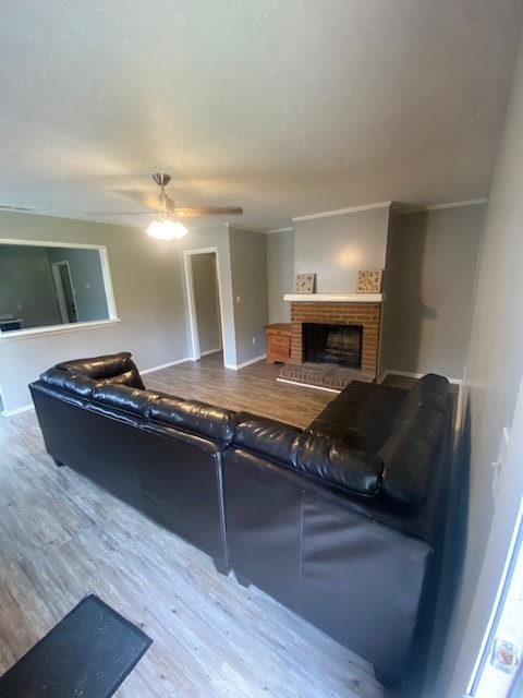 Photo - 161 Kim Chase Rd