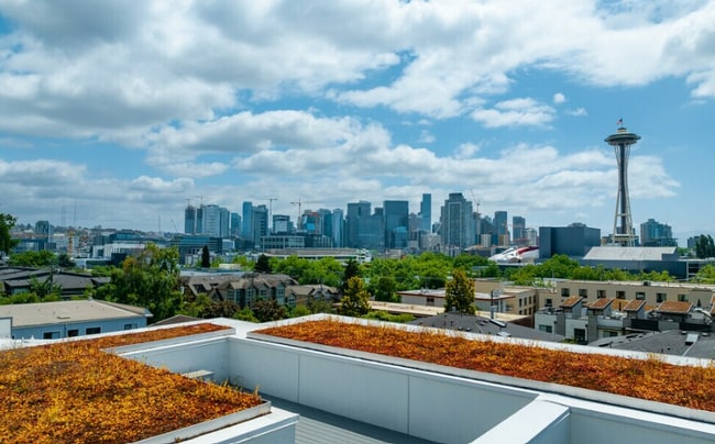 Photo - Vistana Apartments