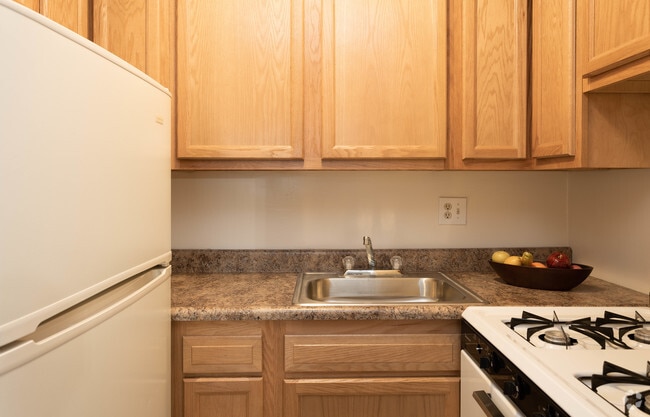 JR 1BR, 1BA - 410 SF