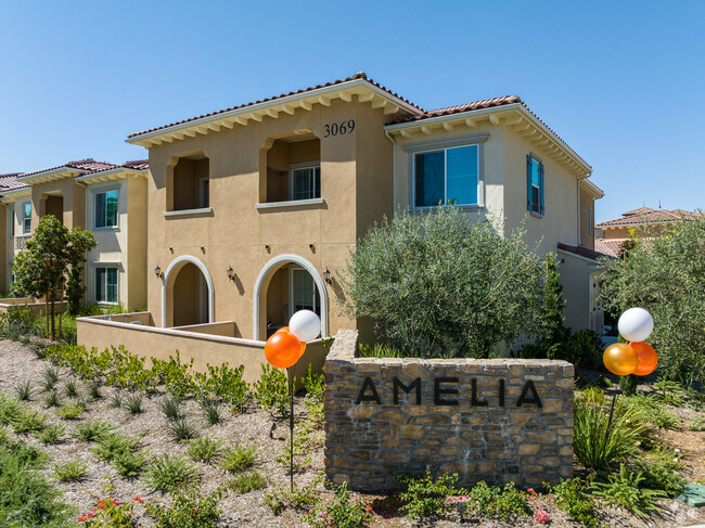 Photo - Amelia Apartments