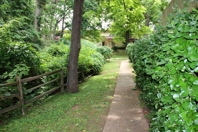 1 Bed / 1 Bath Renovated Condo in South Nashville! Close to laundry! Surrounded by woods! - 1 Bed / 1 Bath Renovated Condo in South Nashville! Close to laundry! Surrounded by woods!
