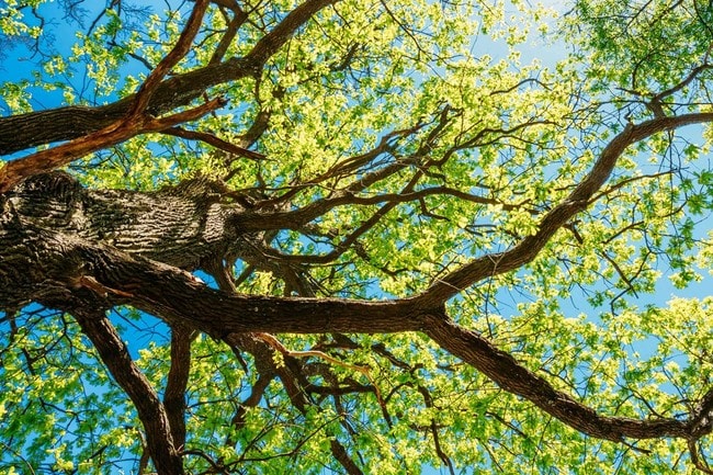 AMBIENTE TRANQUILO - Watercrest at the Polo Fields