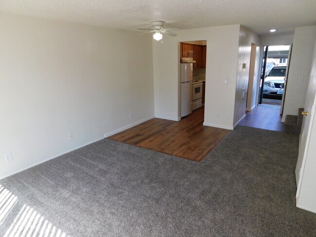 Photo - Cedar Meadow