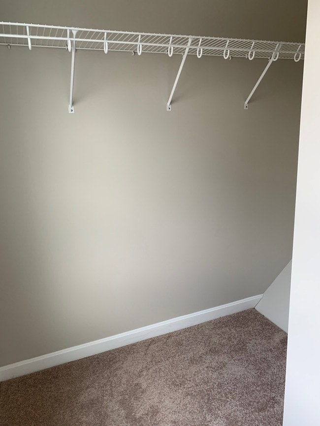 Walk-In Closet, Master BR