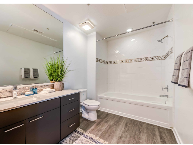 Forty55 Lofts