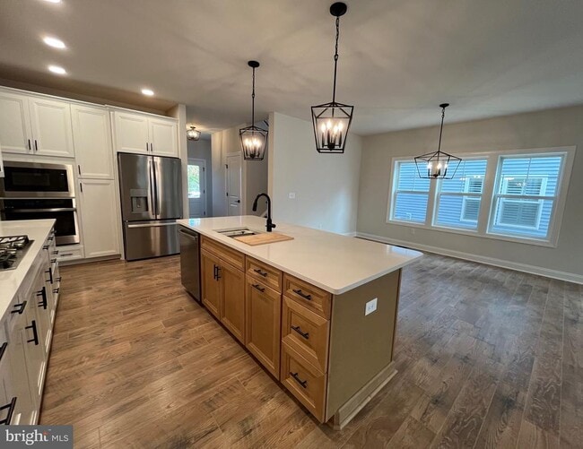 Photo - 33743 Catching Cv