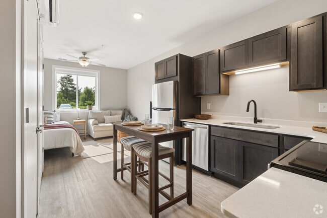 Studro - 384SF - Kitchen and Living Room