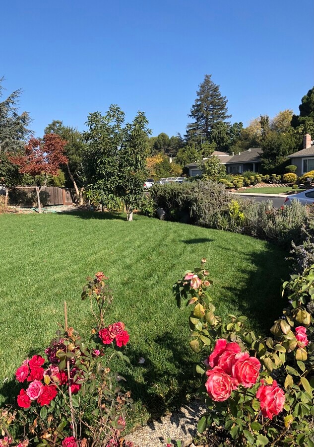 Photo - 680 Clara Vista Ave House