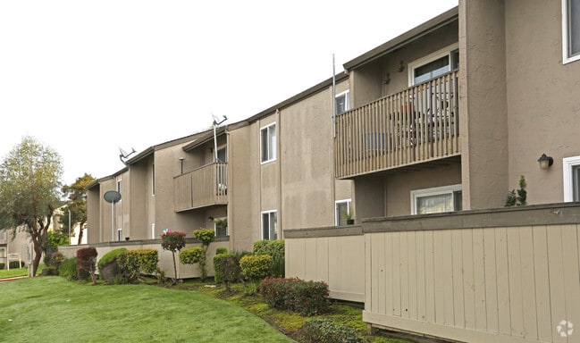 The Pines Apartments