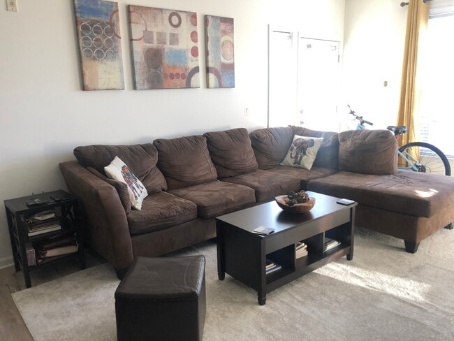 Living Area - 3810 Lightfoot St Unit 310