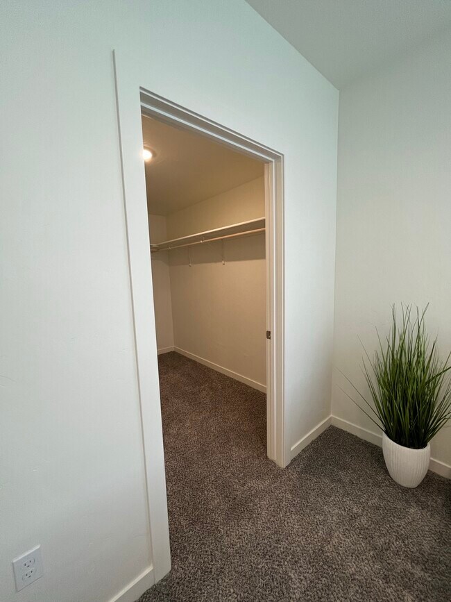 Photo - Lexington Sky