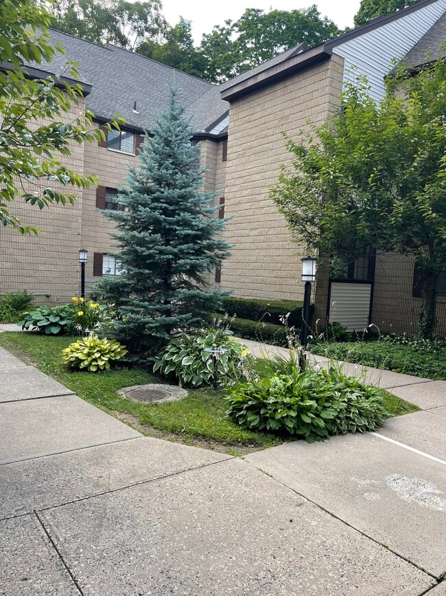 Building Photo - 181 Loomis Dr Unit 147 Rental