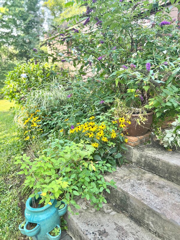 Photo - 27 Rundelane