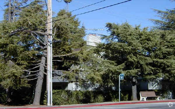 Cedars Apartments - Cedars Apartments