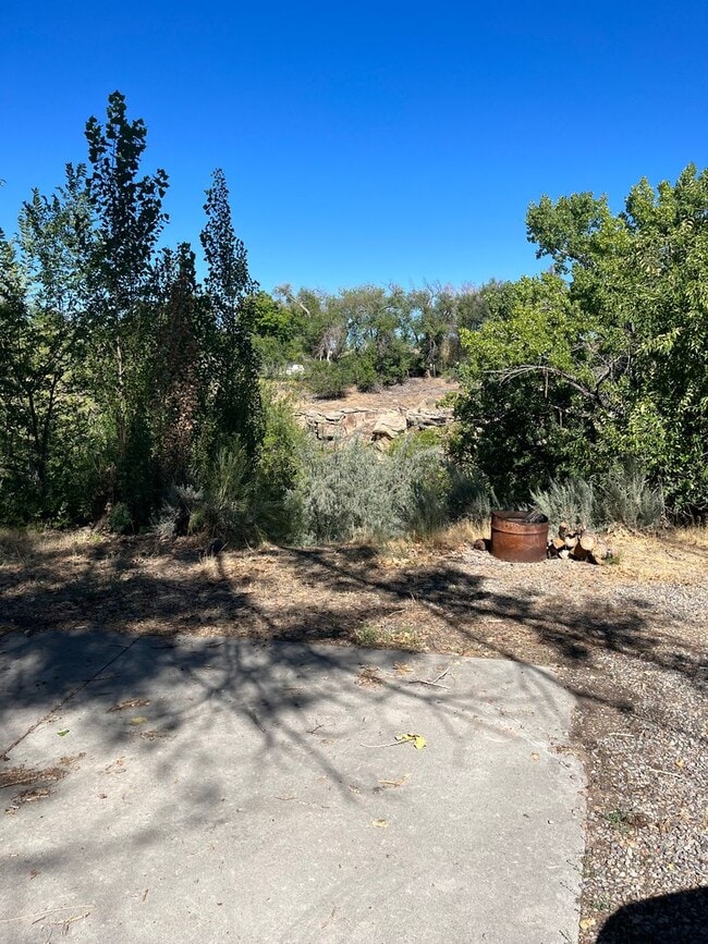 Photo - 3 Bed 1 Bath Downstairs unit.