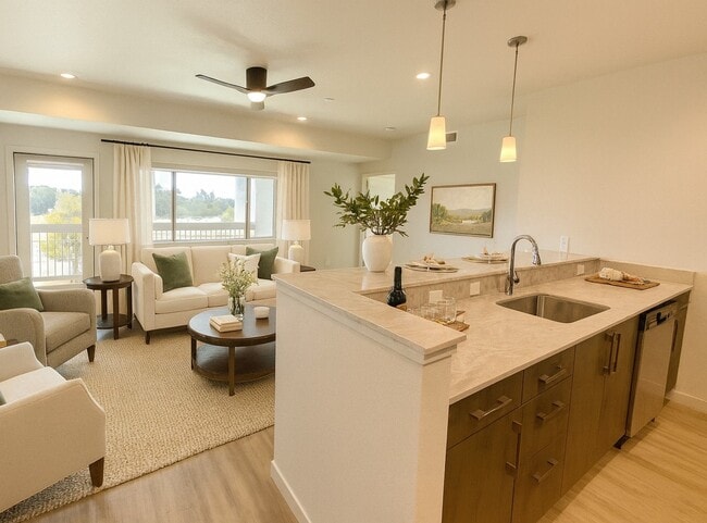 Living room and kitchen