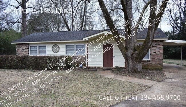 Photo - 300 Pecan Tree Dr