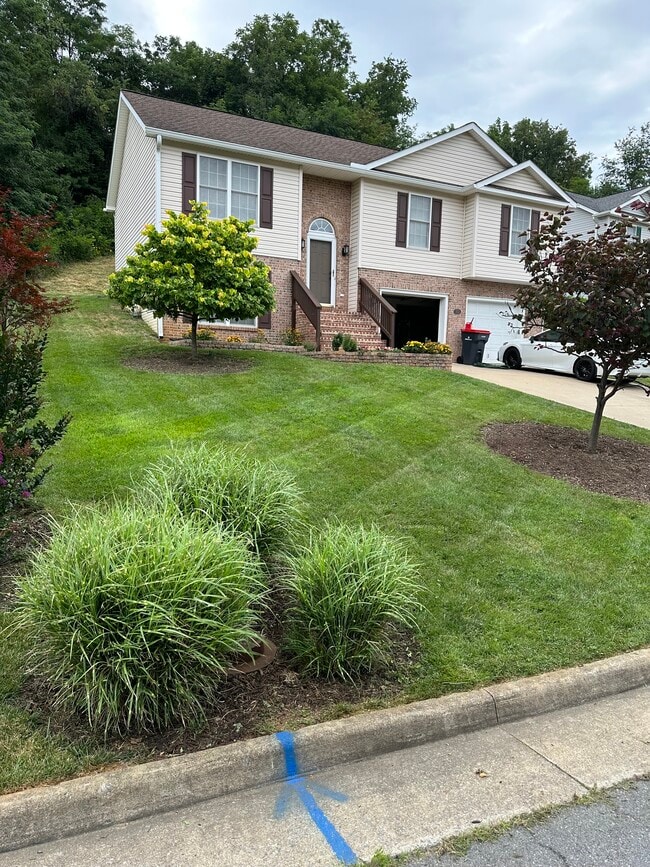 Photo - 103 Mummert Cir