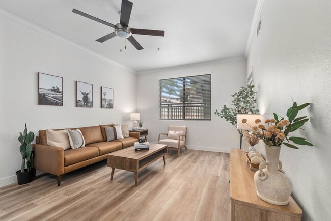 Emory Old Town apartments — community photo