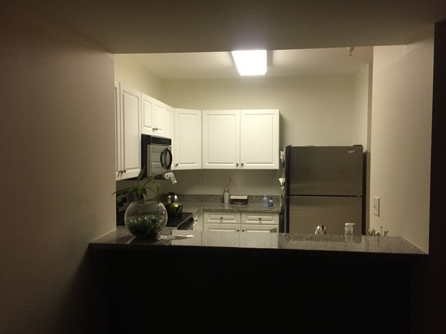Kitchen - 1 Cityview Ln Unit Daye