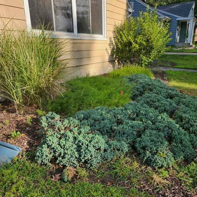 Photo - 1208 Scottswood Rd
