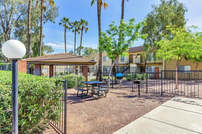 Pool and bbq grills - Desert Palms Apartments