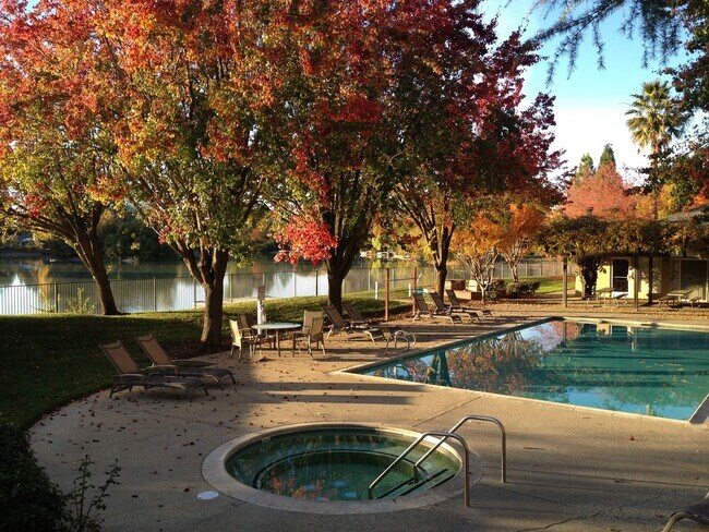 Lakeshore Apartments - Lake Views!
