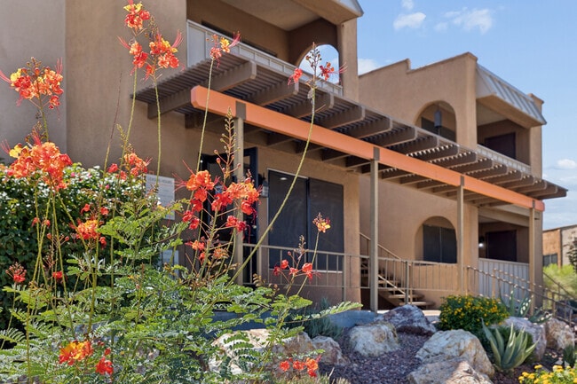Elevation Apartments