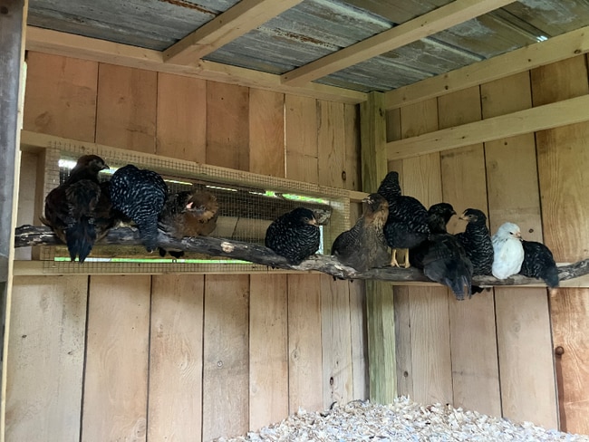 Photo - 215 Tuscan Rd