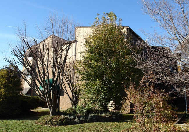 2950 5th Ave
