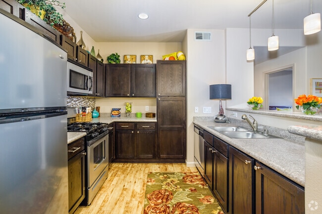 1BR, 1BA - 892SF - The View Luxury Apartments