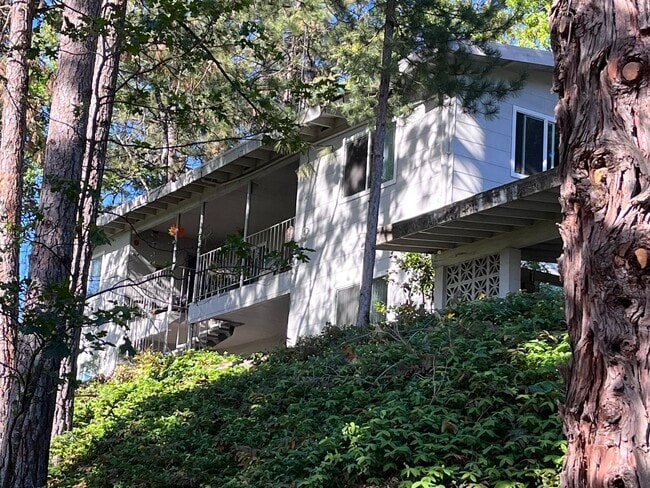 NICE QUAINT APARTMENT IN COLFAX!! - NICE QUAINT APARTMENT IN COLFAX!!