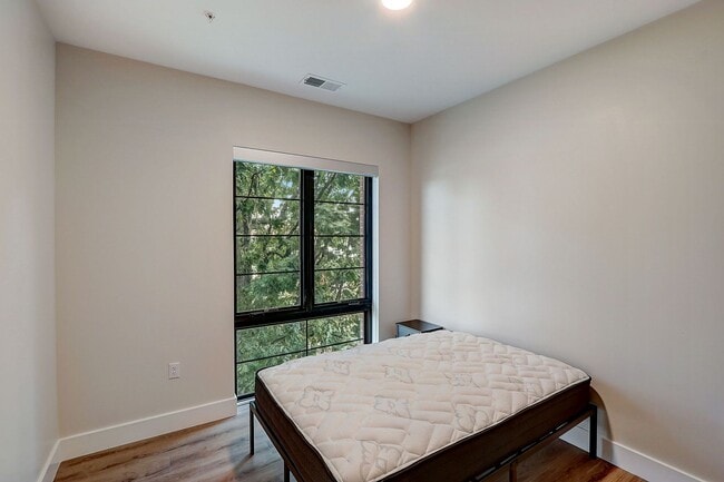 Photo - Cypress on Vine