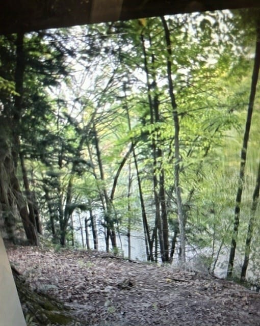 Photo - 95 R Aldrich St