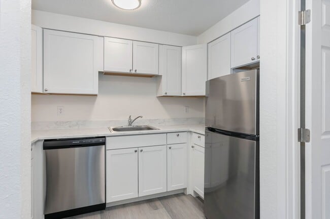 Photo - Arise Bellingham