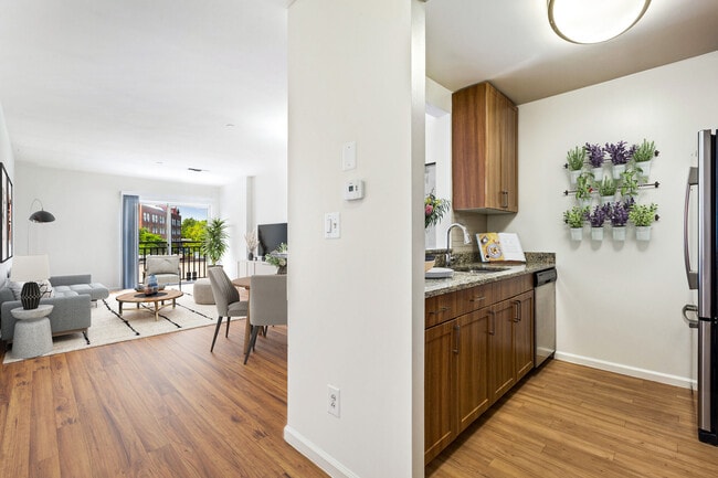 The Village at Bronxville