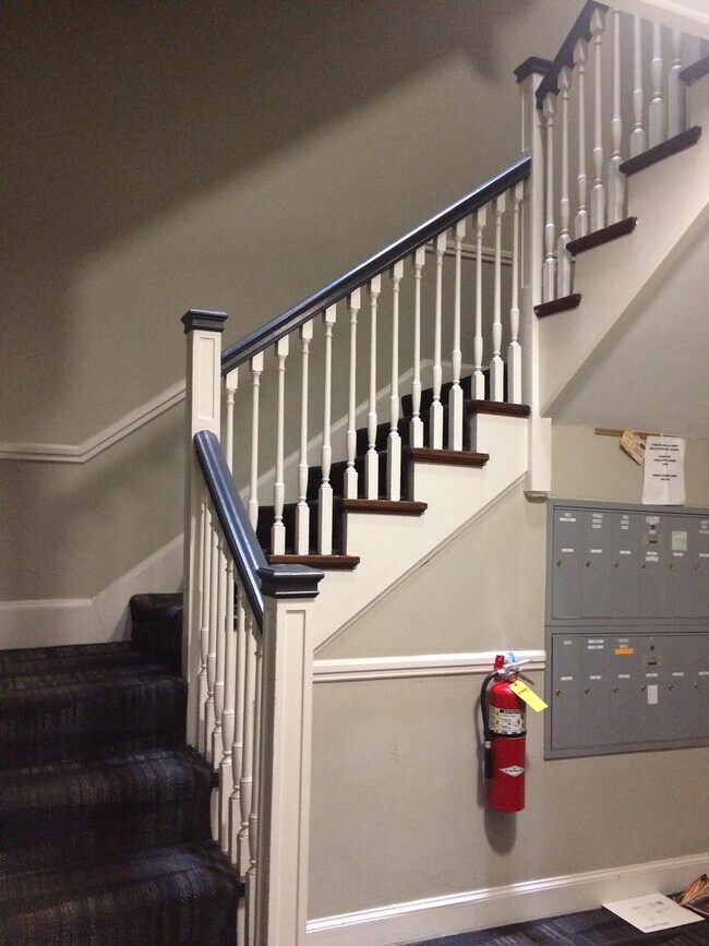 Photo - 52 Clearway St