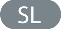 Silver Line 2 - Massachusetts Bay Transportation Authority Subway (The T)