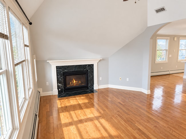 Gas fire place in FR